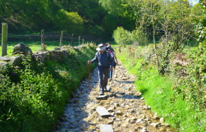 Viajes Organizados al Camino de Santiago